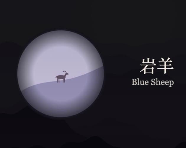 Blue Sheep 岩羊 대표 이미지