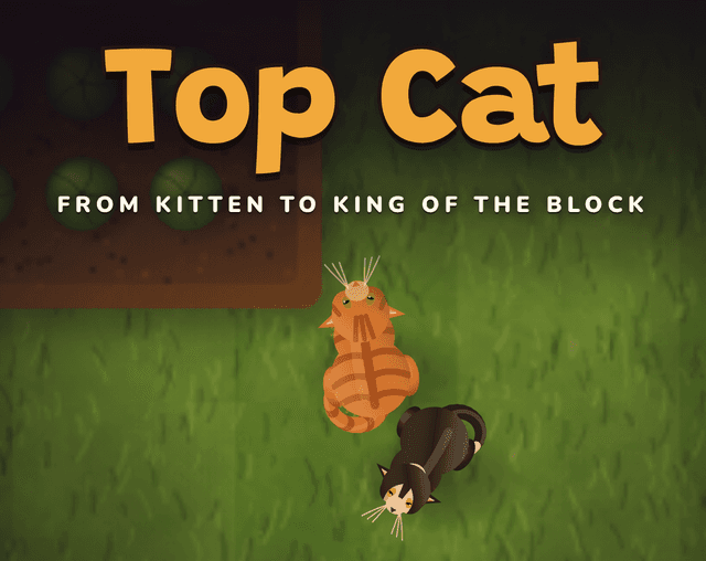 Top Catのメイン画像